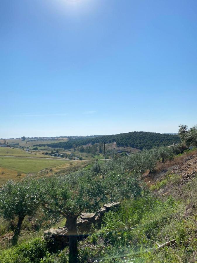 Zena Houses Μπέχα Εξωτερικό φωτογραφία
